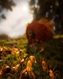 PS5 Empire of the Ants - Limited Edition