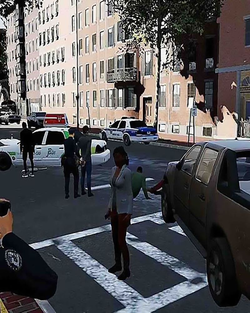 Switch Police Simulator