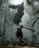 PS5 Black Myth: Wukong
