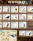 PS5 Wingspan - Special Edition