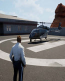 PS5 Highway Police Simulator