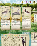 Switch Wingspan - Special Edition