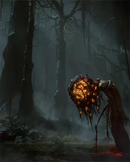 XSX Elden Ring - Shadow of the Erdtree Edition