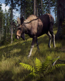 PS5 Way of the Hunter - Wild Expeditions