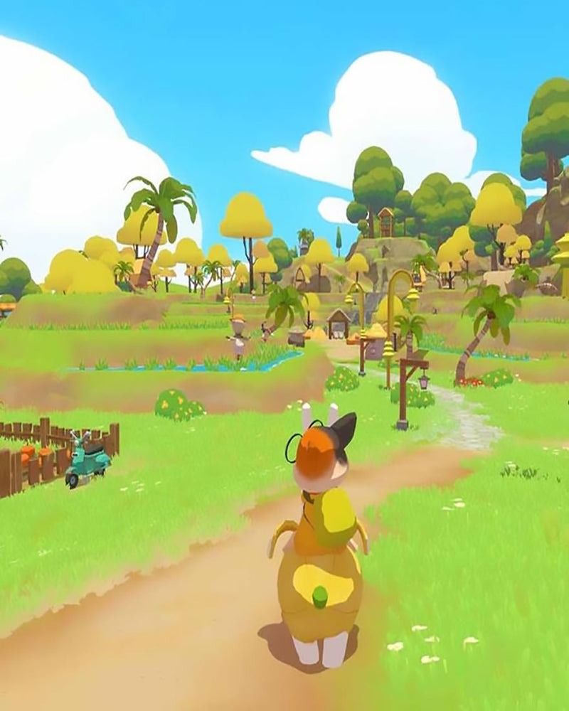PS5 Petit Island