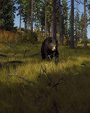 PS5 Way of the Hunter - Wild Expeditions