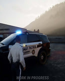 PS5 Highway Police Simulator