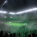 PS5 EA Sports FC 25