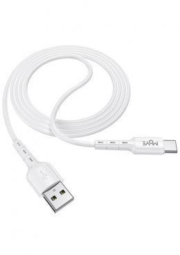 Type C Data Cable 1m