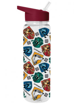 Harry Potter (Stand Together) Plastic Drinks Bottle