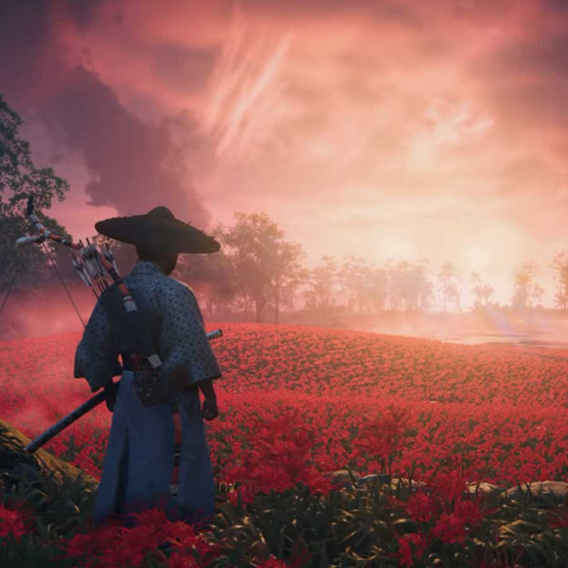 PS5 Ghost of Tsushima - Director's Cut