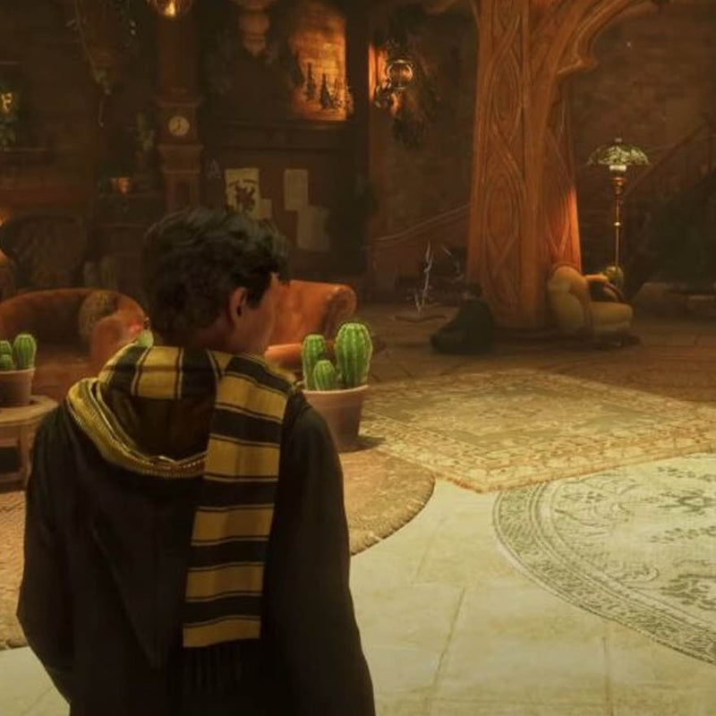 PS5 Hogwarts Legacy Deluxe edition