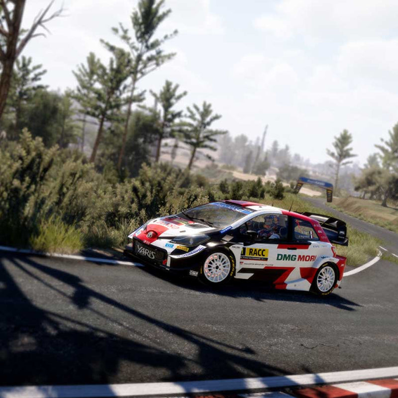 SWITCH WRC 10