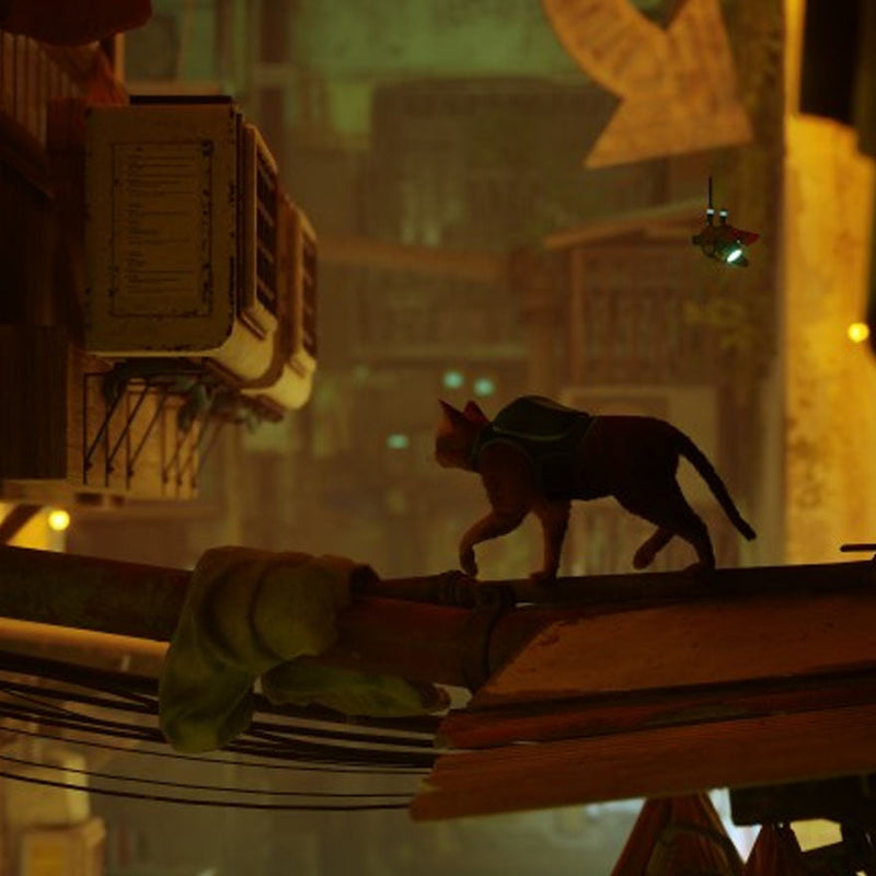 PS4 Stray